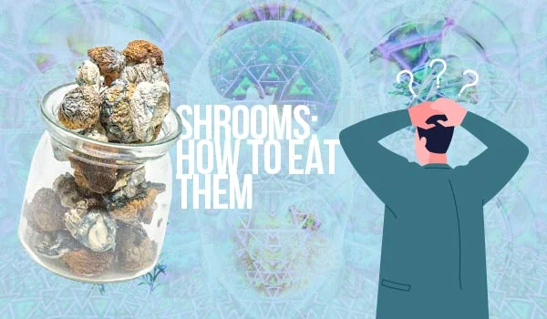 shrooms-how-to-eat-them